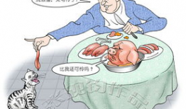 有意义的漫画,解读生活百态